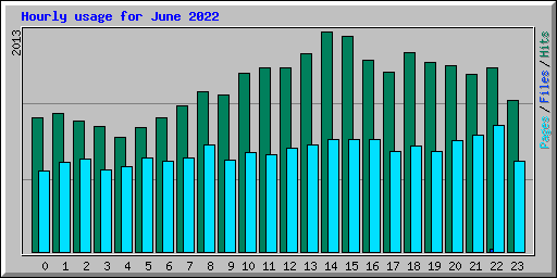 Hourly usage for June 2022