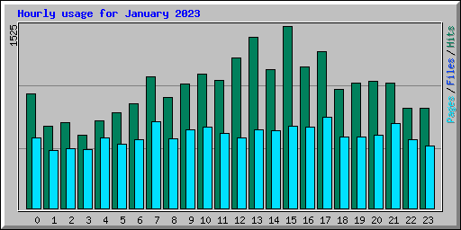 Hourly usage for January 2023